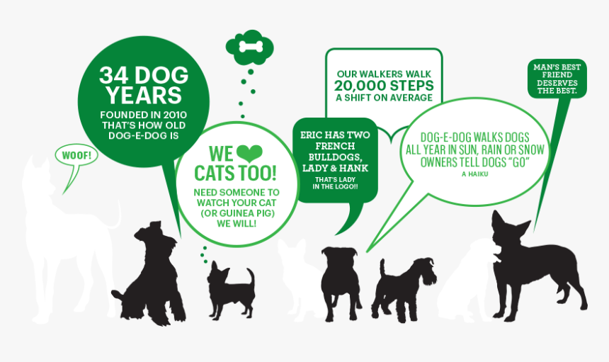 Dogedog Facts - Facts About Dogs And Walks, HD Png Download, Free Download