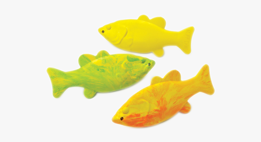 Aquarium, HD Png Download, Free Download