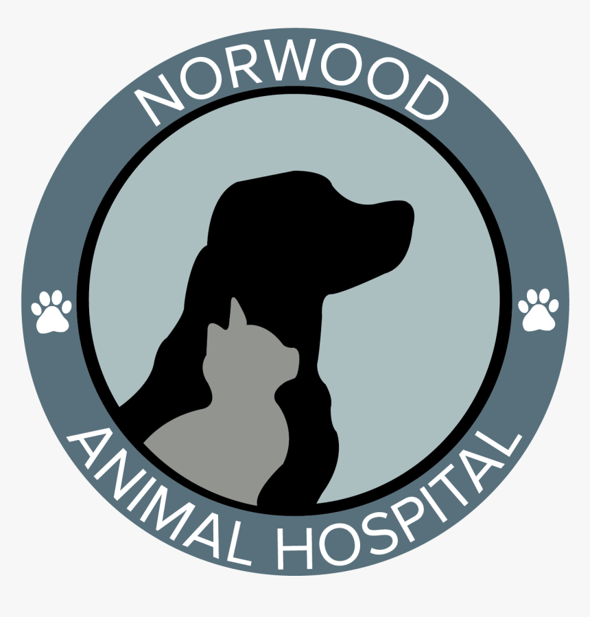 Norwood Animal Hospital - Circle, HD Png Download, Free Download