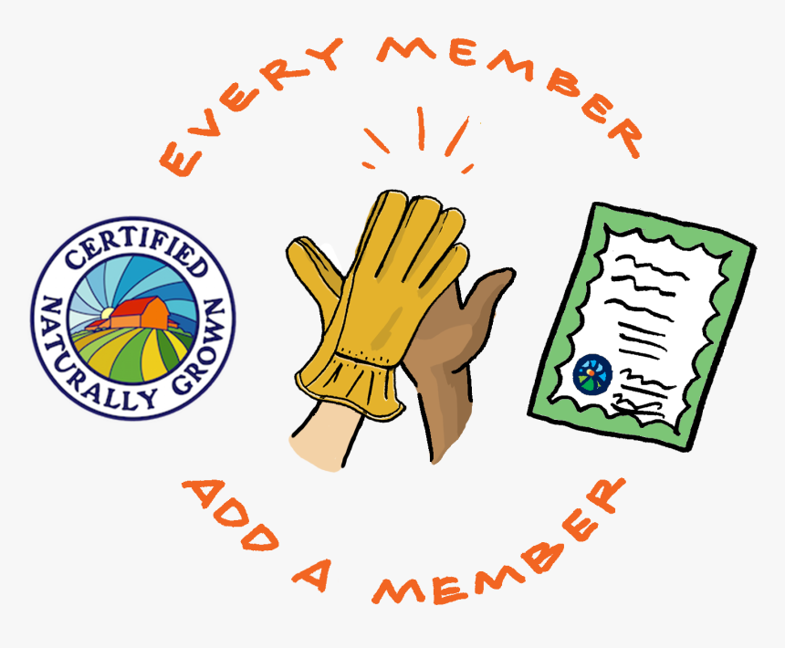 Everymember - Cartoon, HD Png Download, Free Download