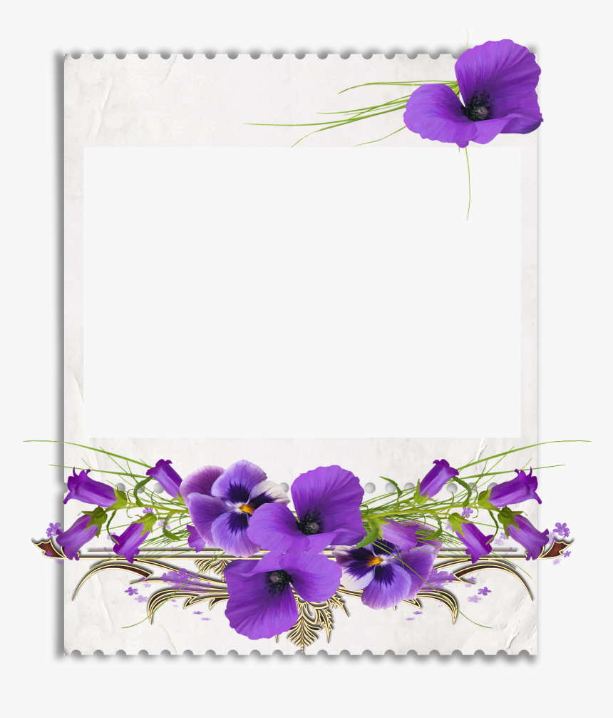 African Violets Clip Art - African Violet Clipart, HD Png Download, Free Download
