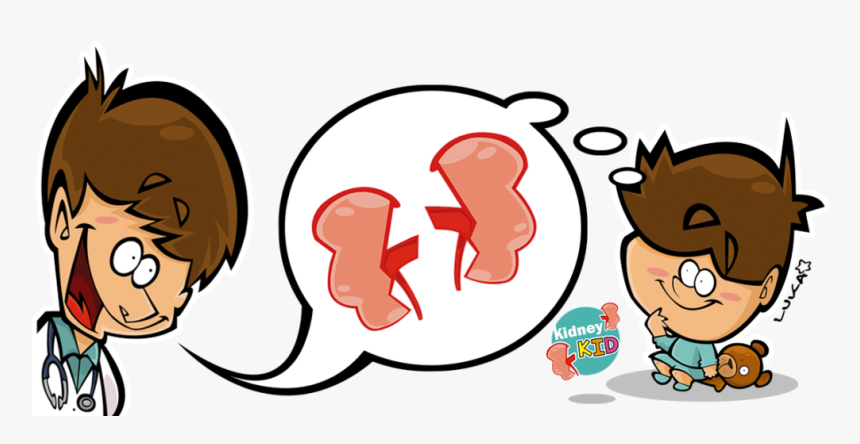 Kidney Clipart , Png Download, Transparent Png, Free Download