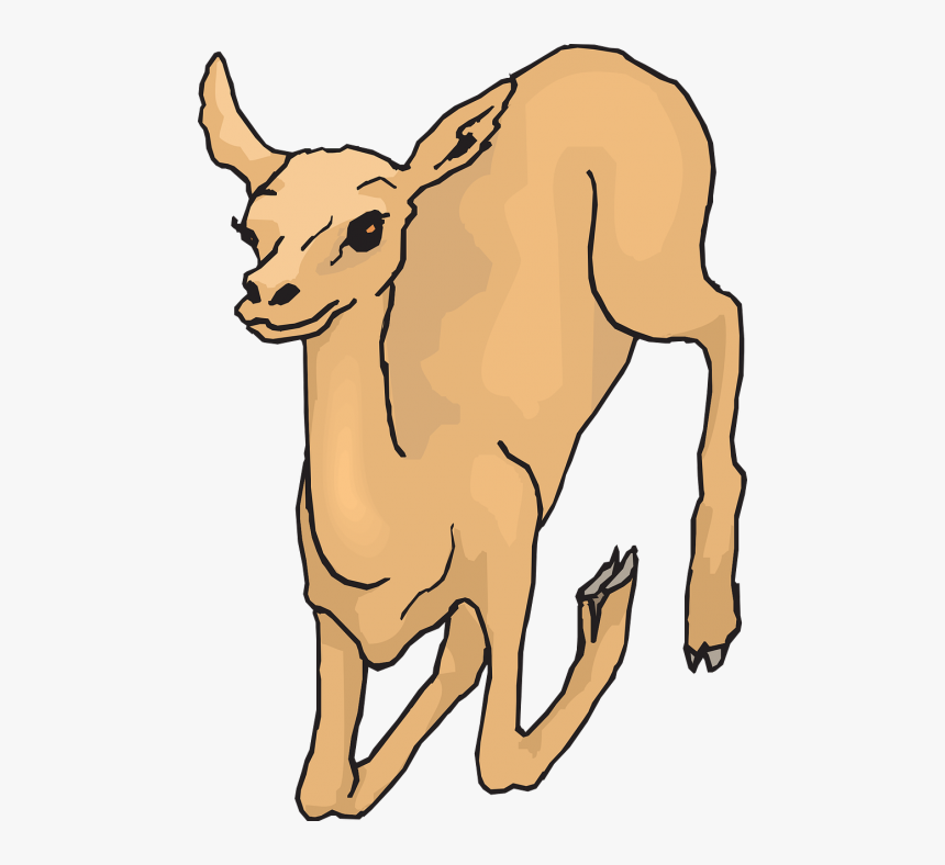 Deer Clipart , Png Download - Deer, Transparent Png, Free Download