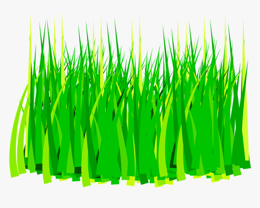 Grass Clip Art, HD Png Download - kindpng