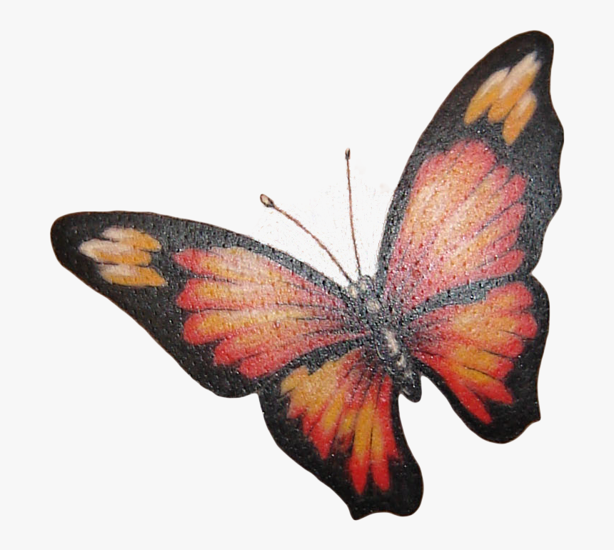 Butterfly Tattoo Png Image Butterfly Tattoos Transparent Png Kindpng