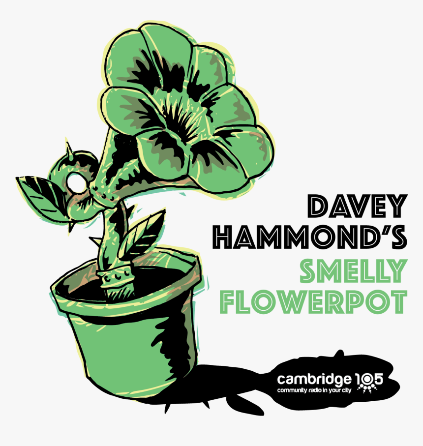 Smelly Flowerpot Radio Show Ident - Hawaiian Hibiscus, HD Png Download, Free Download