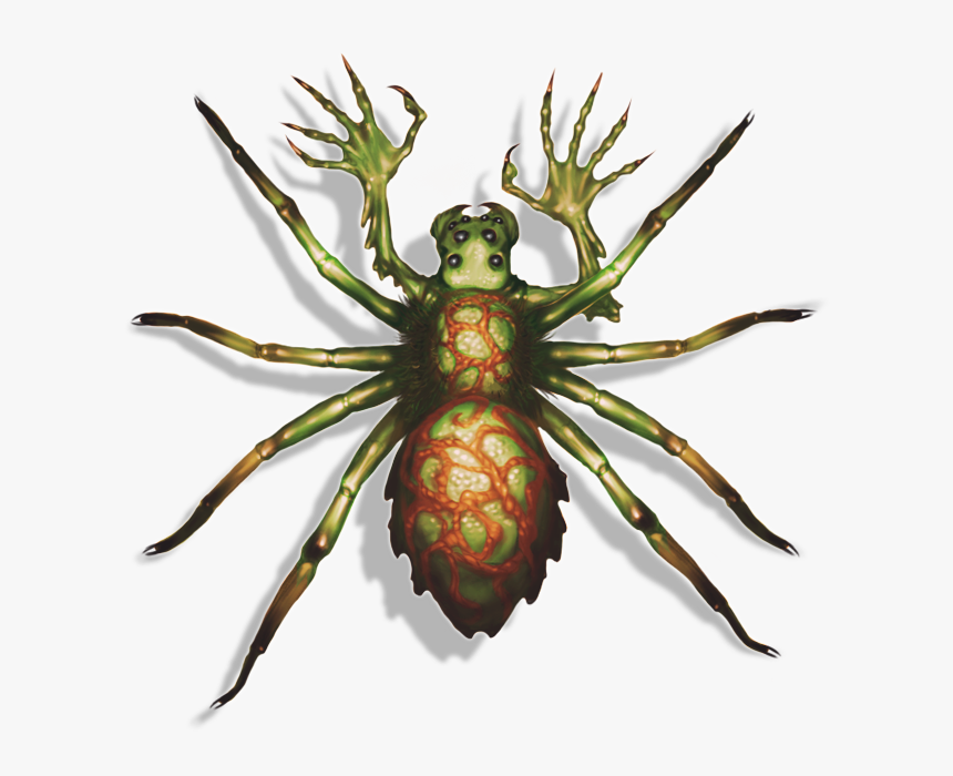 Cicada, HD Png Download, Free Download