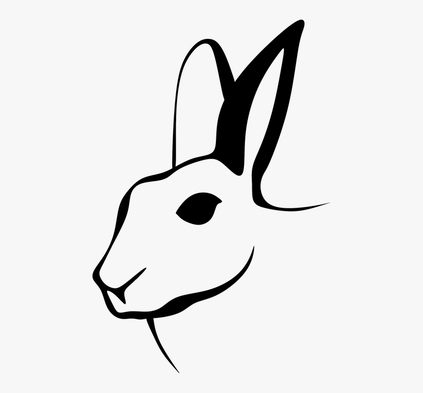 Hare, Rabbit Silhouette, Animals, Free Images, Shadows, - Rabbit Stylized, HD Png Download, Free Download