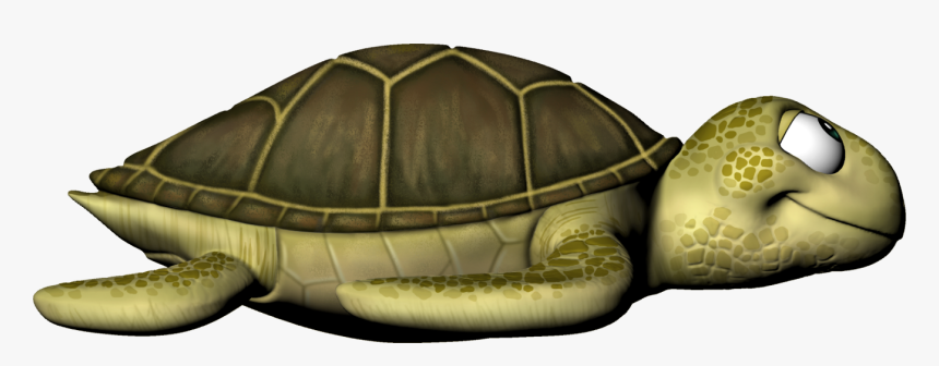 Painted Turtle, HD Png Download, Free Download