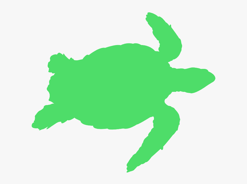 Yellow Turtle Outline, HD Png Download, Free Download