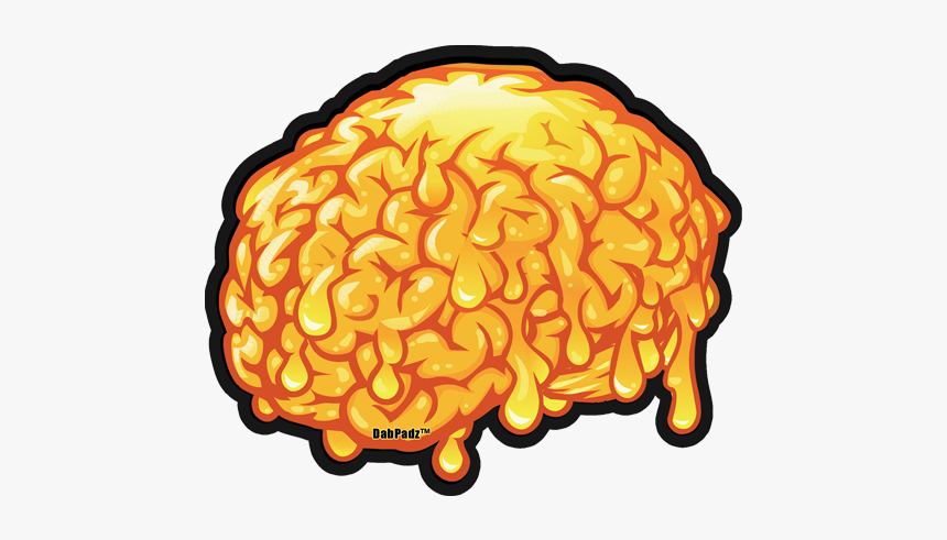 Orange,brain,clip Art,illustration,dish - Dab Brain, HD Png Download, Free Download