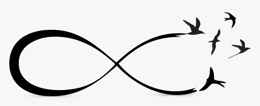 Transparent Infinity Symbol Clipart - Infinity Birds Png, Png Download, Free Download