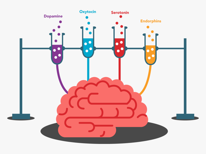 Transparent Brain Clip Art Png - Dancing Is Good For Your Brain, Png ...