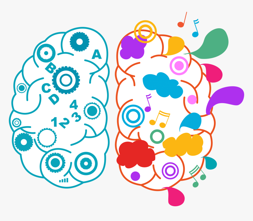 Left Right Brain Png, Transparent Png, Free Download