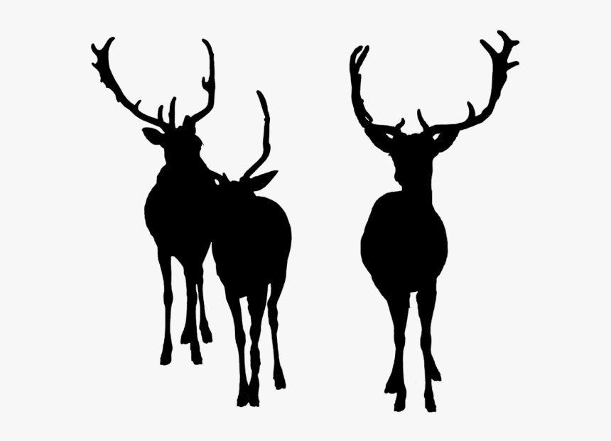 Deer Bucks Deersilhouette Silhouette - Elk, HD Png Download, Free Download