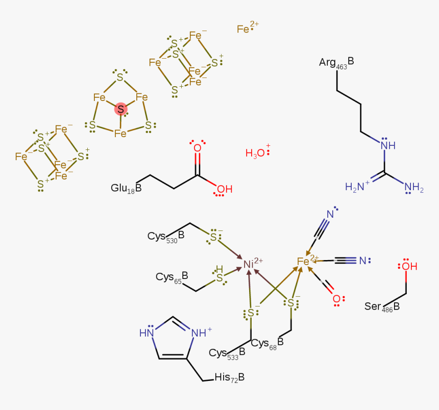 A Single Electron Is Transferred From The Ni Centre - Nickel Iron Cluster O2 Reaction, HD Png Download, Free Download