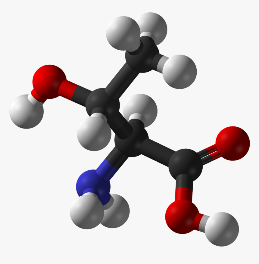 L Threonine 3d Balls Ball And Stick Model Of The L - Threonine Model Or Structure, HD Png Download, Free Download