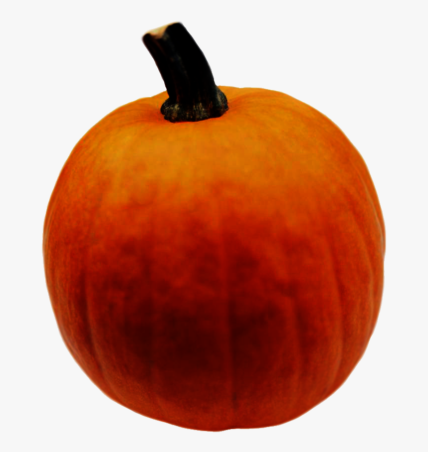 Pumpkin, HD Png Download, Free Download