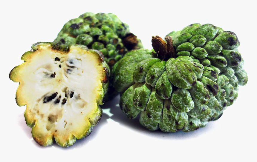 sugar apple png photo sugar in apples transparent png kindpng sugar apple png photo sugar in apples