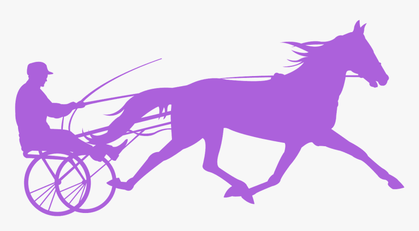 Harness Racing Silhouette Png, Transparent Png, Free Download