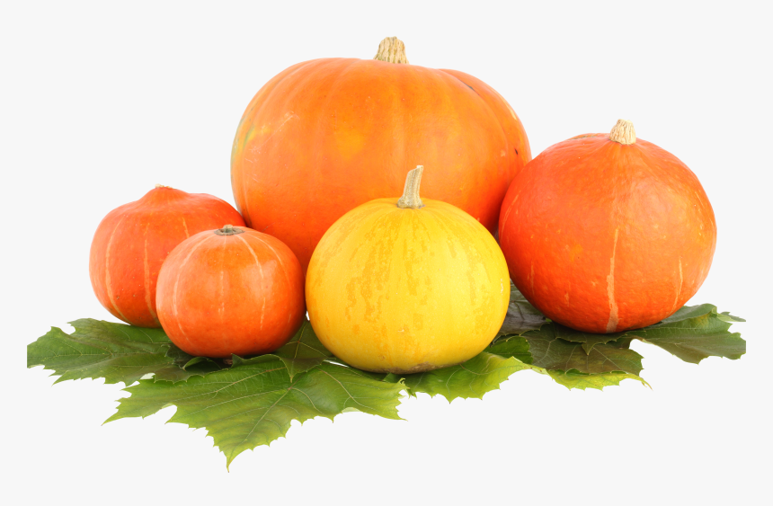 Pumpkin Png, Transparent Png, Free Download