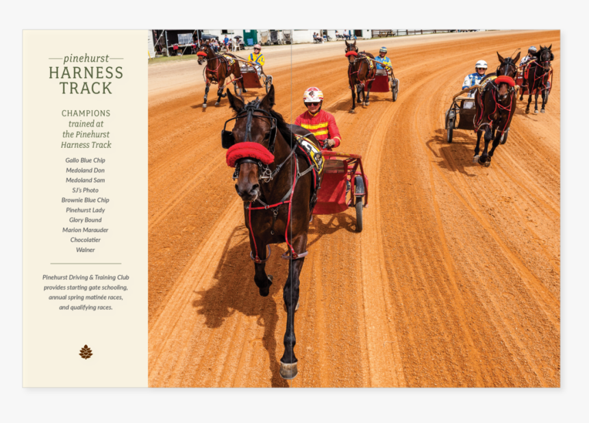 Vop-brochures20 - Harness Racing, HD Png Download, Free Download