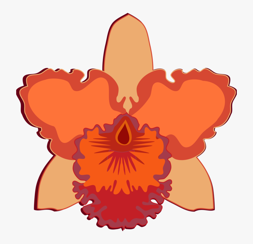 Plant,flower,peach - Orchids, HD Png Download, Free Download