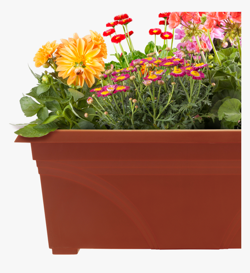 Maintain Your Container Garden - Flower Pots Images Png, Transparent Png, Free Download