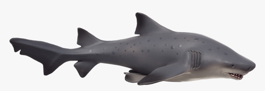 Bull Shark, HD Png Download, Free Download