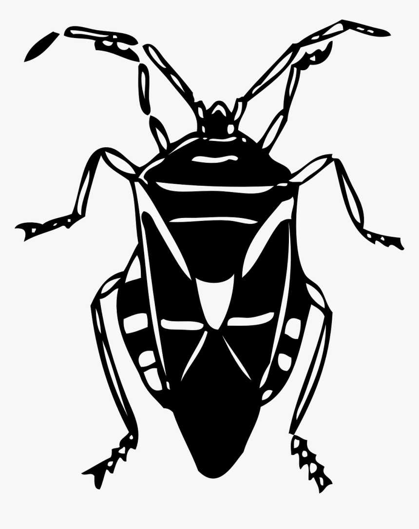 Insect Clipart Black, HD Png Download, Free Download