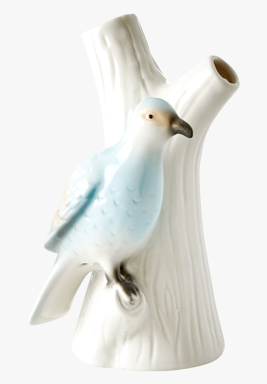 Pigeons And Doves, HD Png Download, Free Download