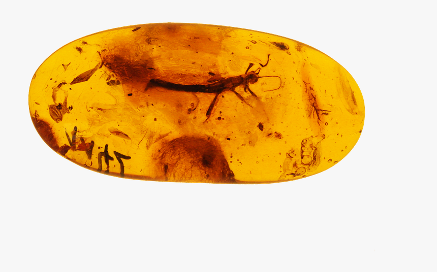 Baltic Amber A Crystal, HD Png Download, Free Download