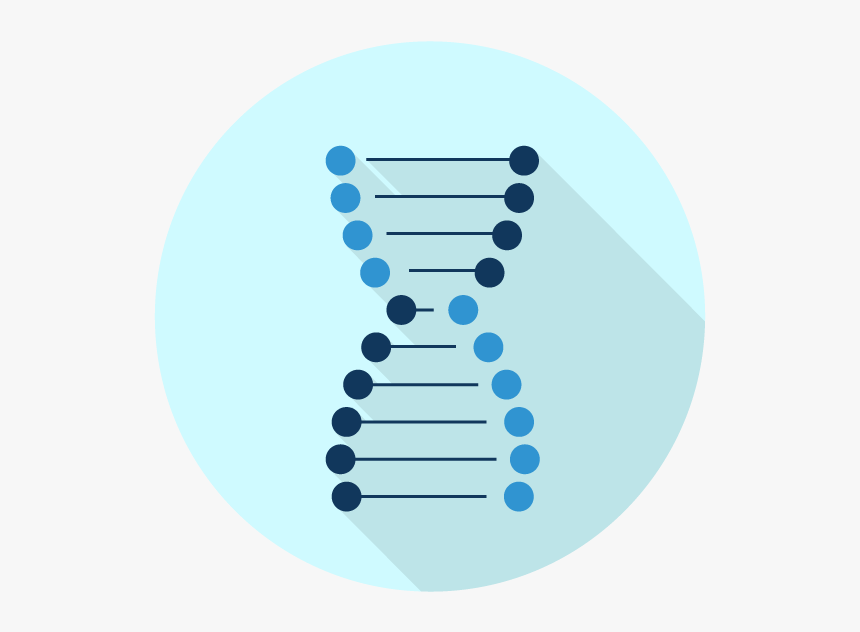 Science Contracts For Education - Circle, HD Png Download, Free Download