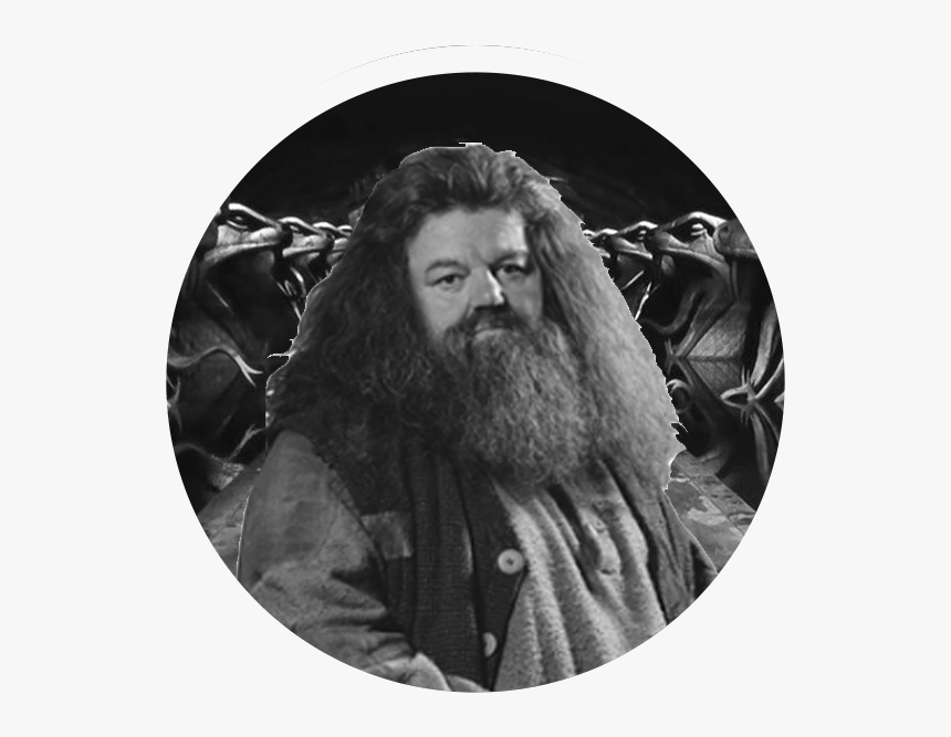 Rubeus Hagrid Face Png, Transparent Png , Png Download - Hagrid Harry Potter Png, Png Download, Free Download