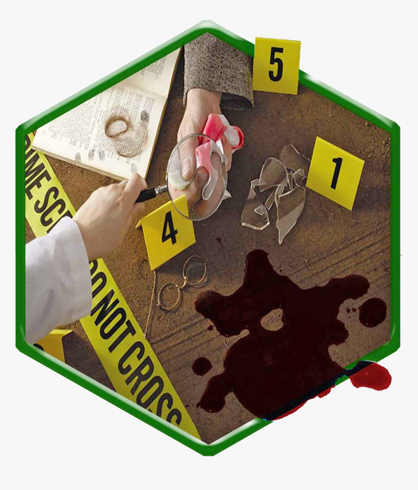 Crime Lab Services - Crime Scene Gingerbread Houses, HD Png Download, Free Download