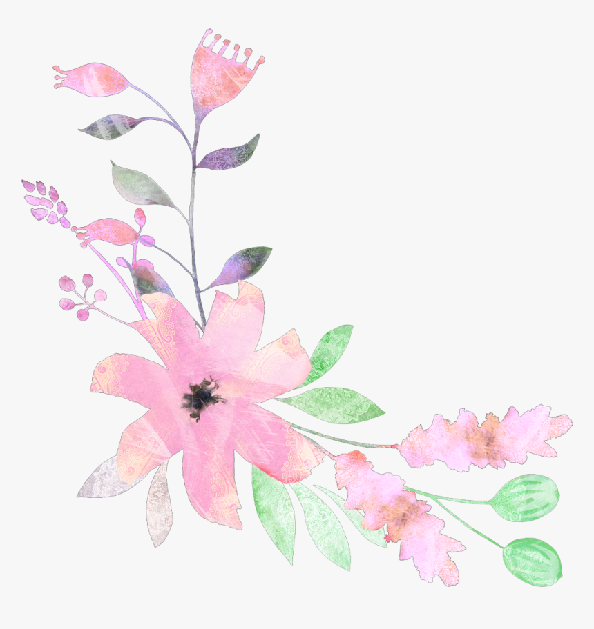 #flowers #floral #elements #watercolor - Gilliflower, HD Png Download, Free Download