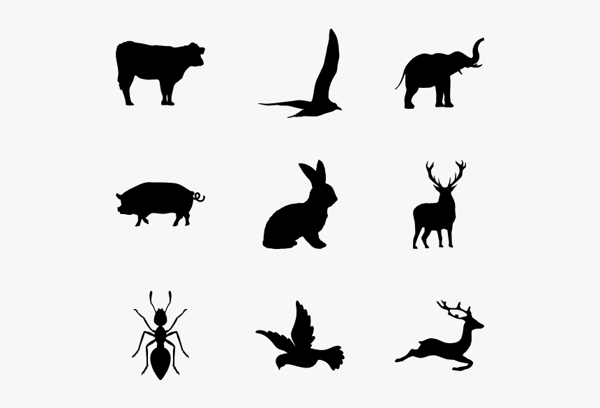 Wildlife Icons, HD Png Download, Free Download