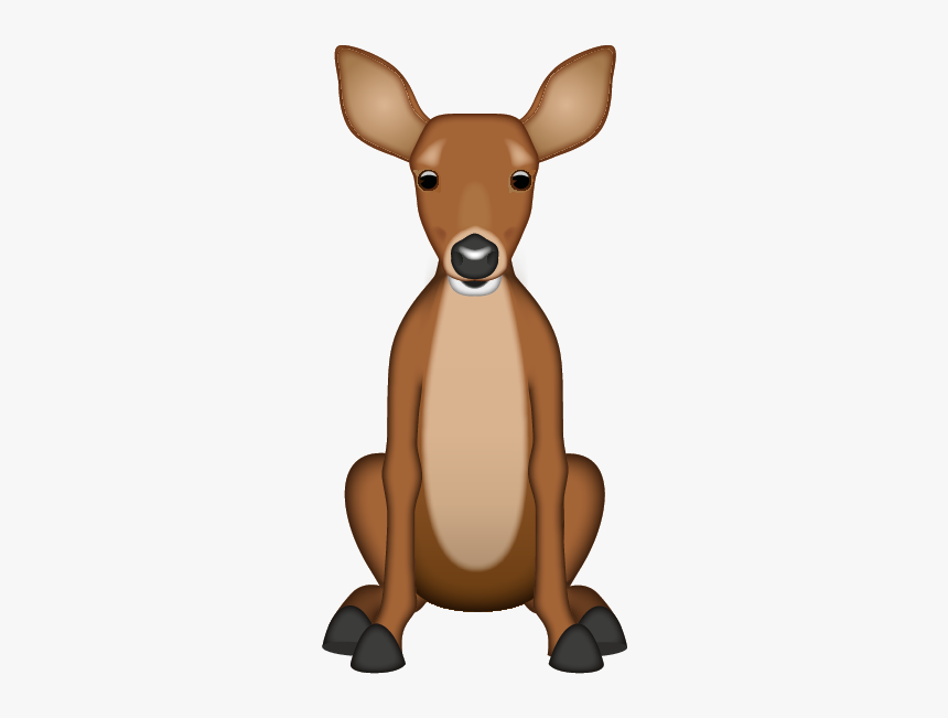 Kangaroo, HD Png Download, Free Download