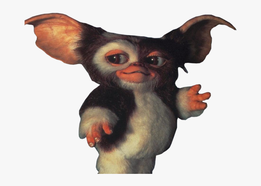 Gizmo Png 7 » Png Image - Gremlins Before They Change, Transparent Png, Free Download