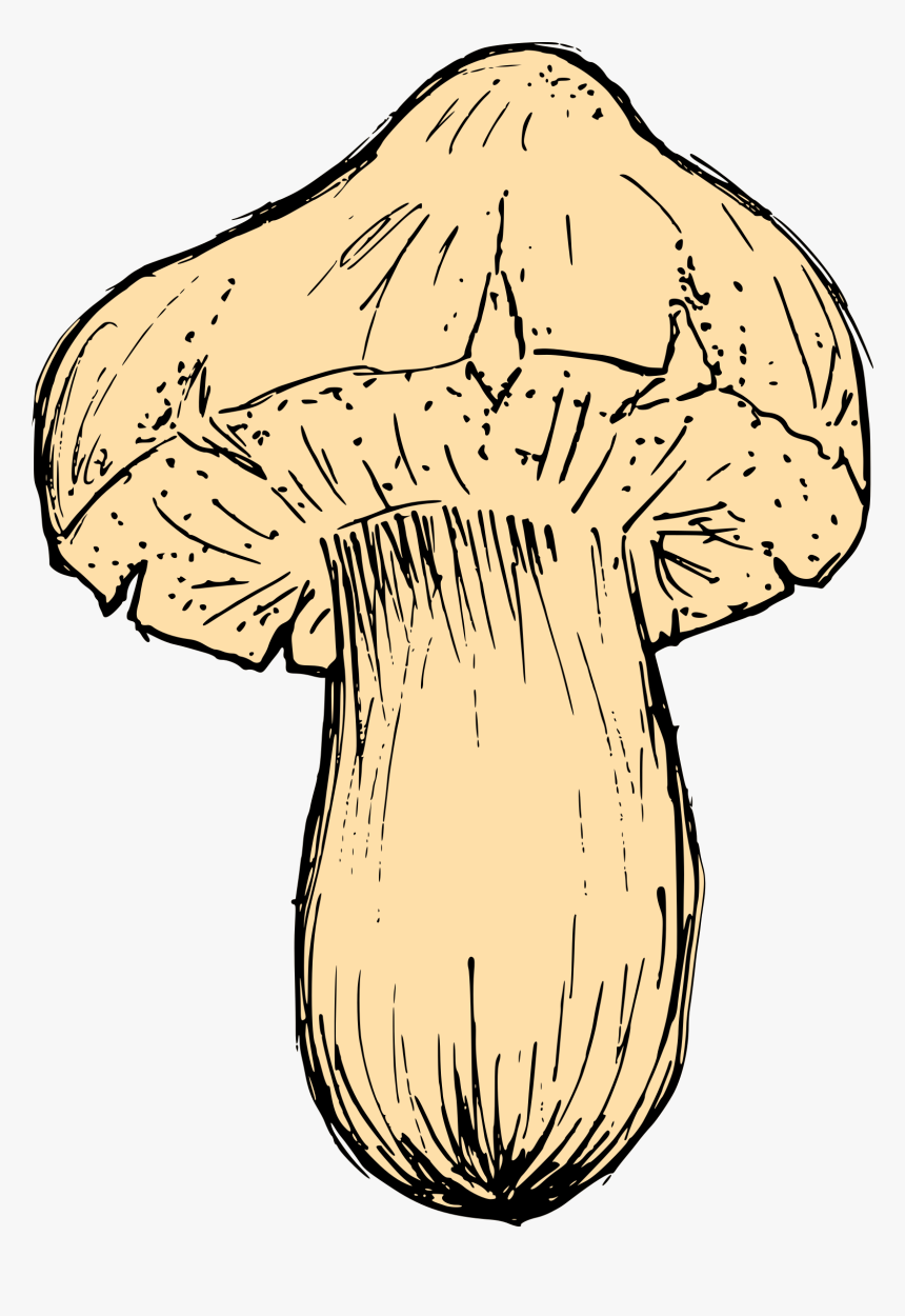 Mushroom Drawing 2 - Russula Integra, HD Png Download, Free Download