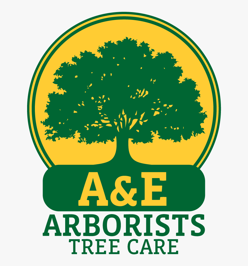 A&e Arborists Tree Care - Transparent Oak Tree Logo, HD Png Download, Free Download