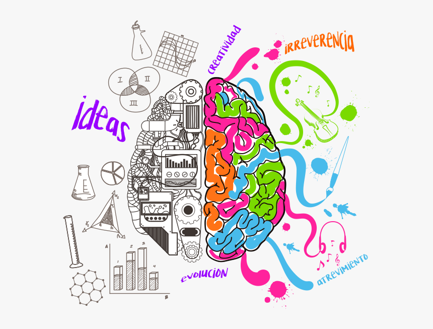 Left And Right Brain Easy Drawing, HD Png Download - kindpng