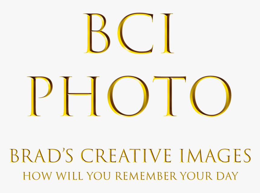 Brad"s Creative Images - Tan, HD Png Download, Free Download