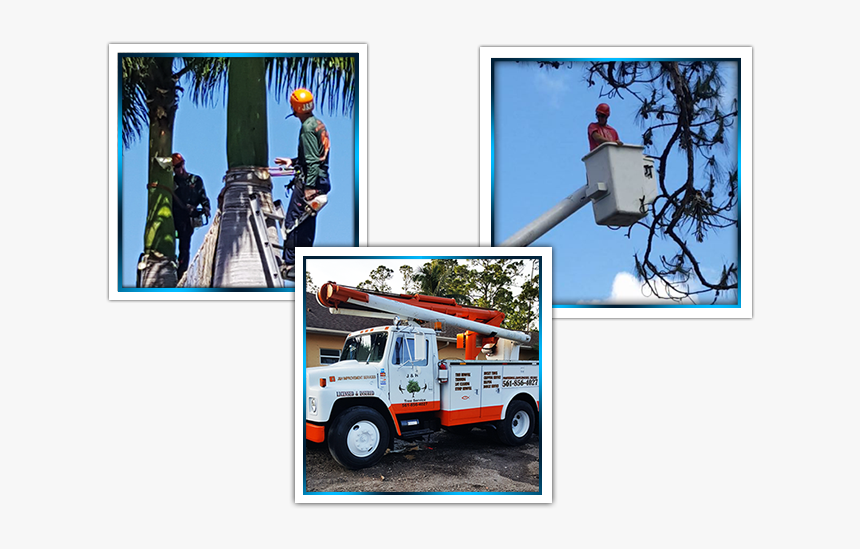 Tree Removal Wellington - Tow Truck, HD Png Download, Free Download