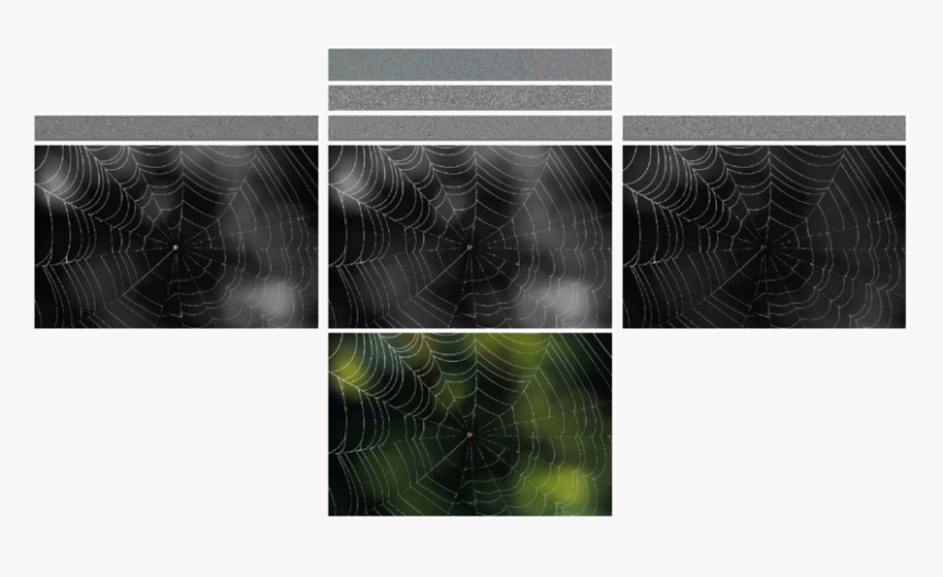 Spider Web, HD Png Download, Free Download