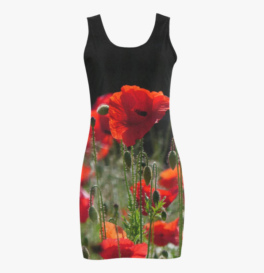 Red Poppies, Poppy, Nature 001 - Corn Poppy, HD Png Download, Free Download