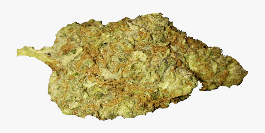 Bud Png & Free Bud Transparent Images - Cannabis Bud Png, Png Download, Free Download