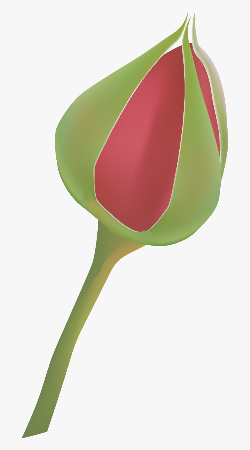 Bud, HD Png Download, Free Download