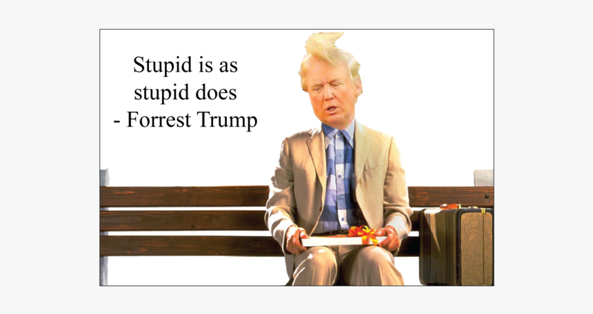 Forrest Trump Magnet - Donald Trump Stupid Is As Stupid Does, HD Png Download, Free Download