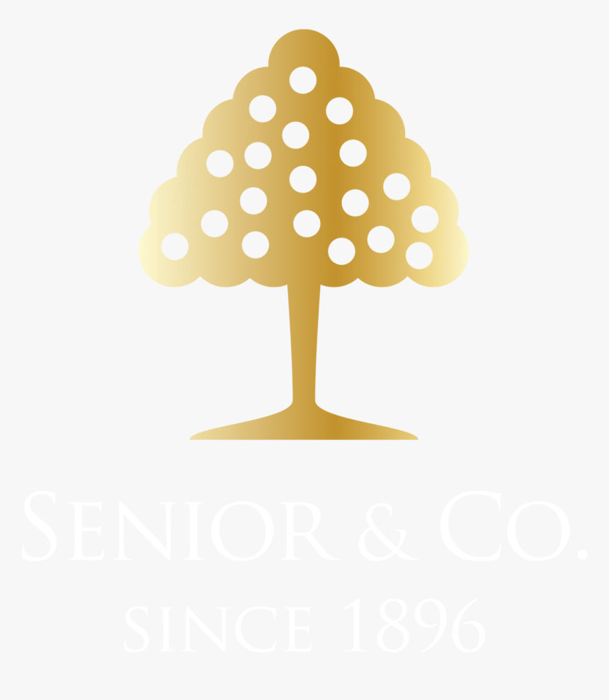 Senior And Company Curacao, HD Png Download, Free Download